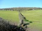 SO6105 : View to Pastor's Hill Wood, April 2010 - via Daymix