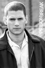 wentworth miller fotos
