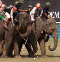  Kings Cup Elephant Polo Tournament