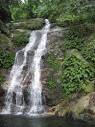 House plants and Conservatory Gardening: Falls in the jungle Rio ...
