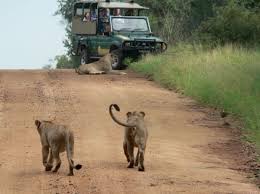 Kruger National Park