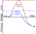 Biochemistry/Catalysis - Wikibooks, open books for an open world