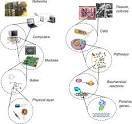 Puriney - Uploaded and Uploading to Syn Bio world