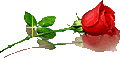 http://t3.gstatic.com/images?q=tbn:ANd9GcThkAbva2I_V69kaZgXHcZVcasfNbr82AFGuJwISBfyOR8BgXU&t=1&usg=__jGsGBD5w-4sLYOiFmX-fWybdo2Q=