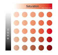 Grading Color Saturation and Tone in Colored Gemstones