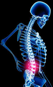 http://t3.gstatic.com/images?q=tbn:ANd9GcTi6ws9u3TC19tipXmTb0rcR95TfZLViM8PTm5jzoXAZwc1Nz8wWw