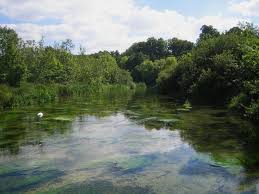 Image result for Itchen South District Scout Canoe Centre