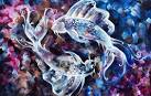Dating A Pisces Male & Female