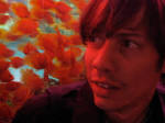 Steven Karl is the author of