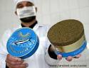 IRANIAN CAVIAR FAQ - Iran's renowned Caviar FAQ, the best and Most ...