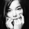 Bjork Image A 150 1373 1211629759.jpeg Picture 2