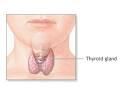 Fukushima Evacuees Screened For Radiation-How Will Their Thyroid ...