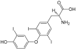 <b>Triiodothyronine</b>