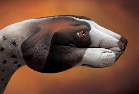 Guido Daniele Italia