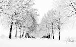 PageMaps: SCT winter call
