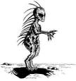 El Chupacabra - A Mysterious Creature