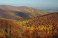 Shenandoah National Park | Hotels and Lodging Options in ...