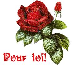 images?q=tbn:ANd9GcTjlGFRL8jgx09VAUPlDn4EHIBa60VhT_DANG4s0MXSLyL0Gc6s