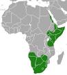 Aardwolf - Wikipedia, the free encyclopedia