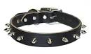 Dog Collars, Leather Dog Collar, Designer Dog Collars
