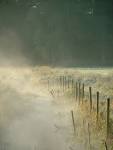 Misty morning and frost on Freemages