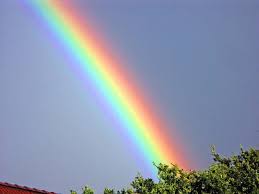 [Bild: images?q=tbn:ANd9GcTjzyNJyivy2CTlRf3h2hA...sWiMoDlmcm]