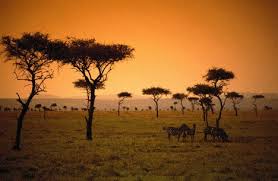  Kenya