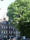 TQ3079 : Smith Square Westminster London. near to Westminster, Great Britain - via Daymix