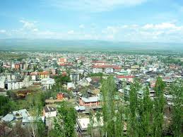 Muş