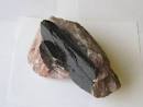 12.108 Image Gallery: Lab 3 - biotite crystal in feldspar.