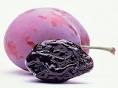Add Prunes to your Diet
