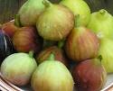 Just Fruits and Exotics