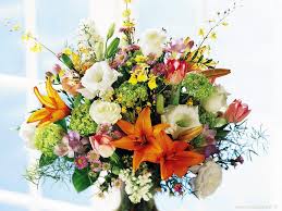 http://t3.gstatic.com/images?q=tbn:ANd9GcTkmyIjJl5gVtpk80UWP6AerX0GVc4pOM6YmKdqRls7aLUwCKXC