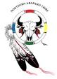 The Arapaho - Great Buffalo Hunters of the Plains