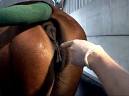 TWW - this thread will likely contain vagina photos