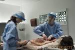 Forensic Pathologist « Crime Scene Investigation