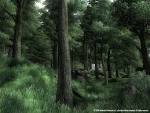 The Elder Scrolls IV: Oblivion - The Elder Scrolls Wiki