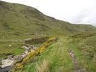 Whins make their first appearance travelling downstream. - via Daymix