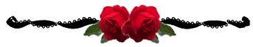 ������ ���� ������ �� ���� ������