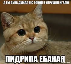 images?q=tbn:ANd9GcTlj2C0UID43iJOS2u9jP13N4SPi5BIJxz1C2g6L6KNQD7HTTFurw