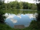 'Siblings', Packington Somers - via Daymix