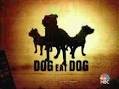 Dog Eat Dog Online Community | Dog Eat Dog TV Series Wiki - ShareTV