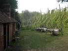 Hops at The Museum of Kent - via Daymix