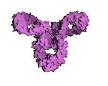 <b>IgG deficiency</b>