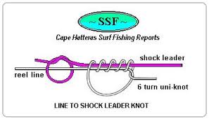 Sea fishing. from the shore Discussion Printer Version