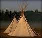 http://www.bigorrin.org/cree8.jpg