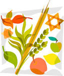 Order your Lulav &amp; Etrog set for Sukkot : Chabad Prospect Heights ...