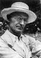 Hermann Hesse, Steppenwolf