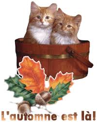 Résultat de recherche d'images pour "images gifs automne"