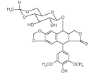 File:Etoposide.jpg - Wikipedia, the free encyclopedia